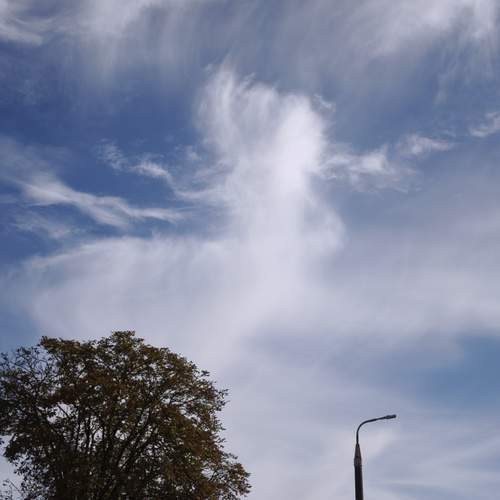 Photo #13760608