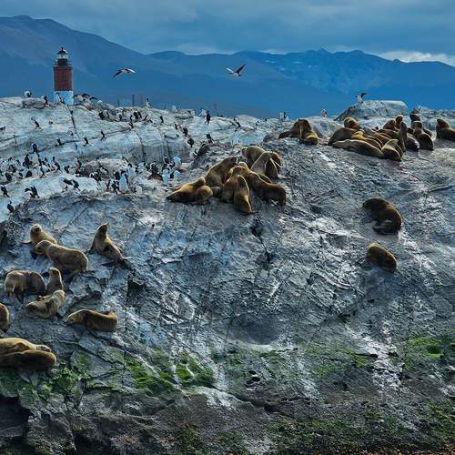 Storm Clouds Over the Beagle Channel
