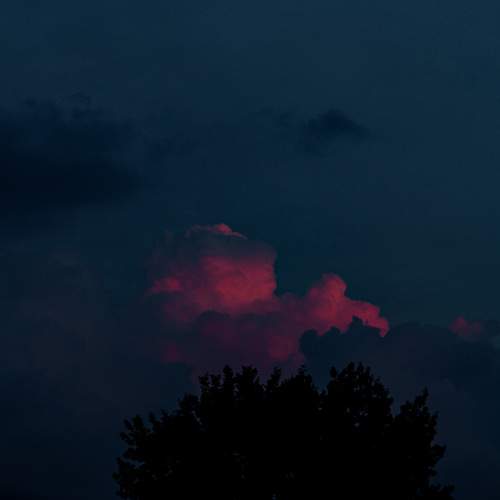 Photo #13760661