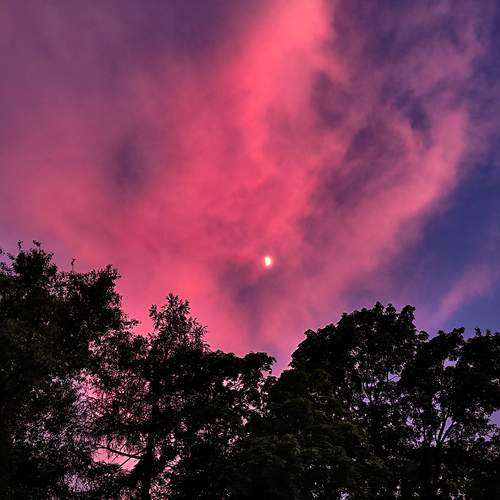 Photo #13760665