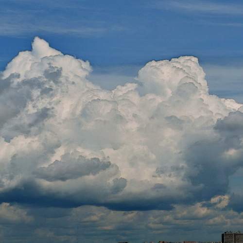 Photo #13760711
