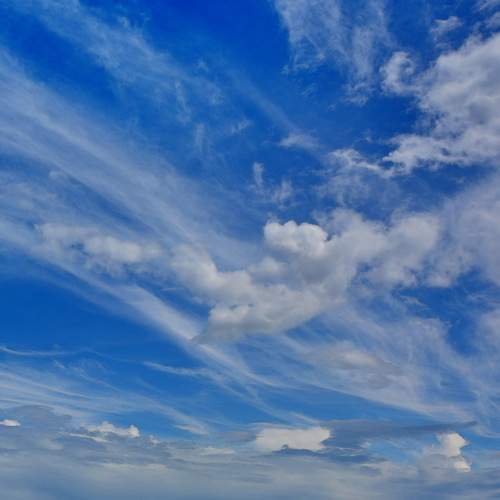 Photo #13760713
