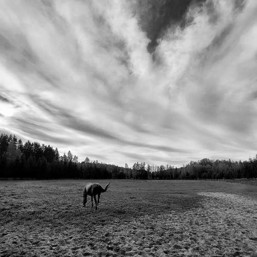 Photo #13760754