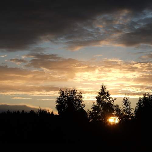 Photo #13760858
