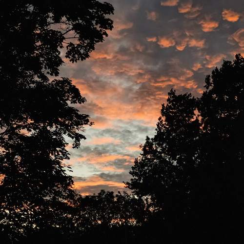 Photo #13760894