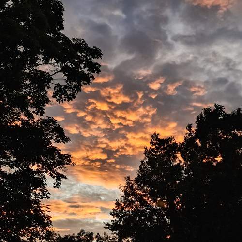 Photo #13760895