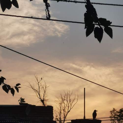Photo #13760926