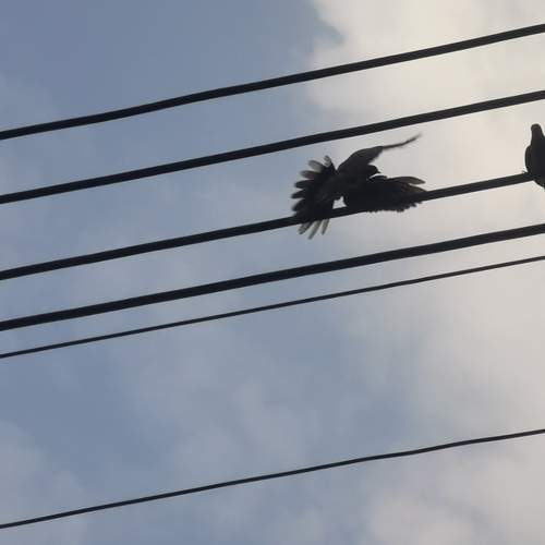 Photo #13760941