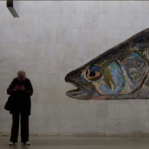 Photo #13760946