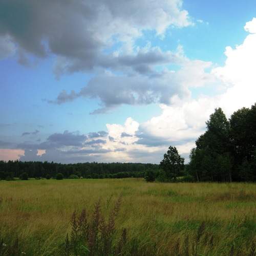 Photo #13760992