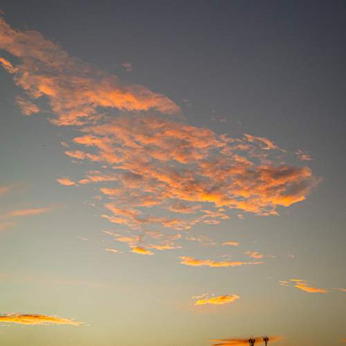 Photo #13761008