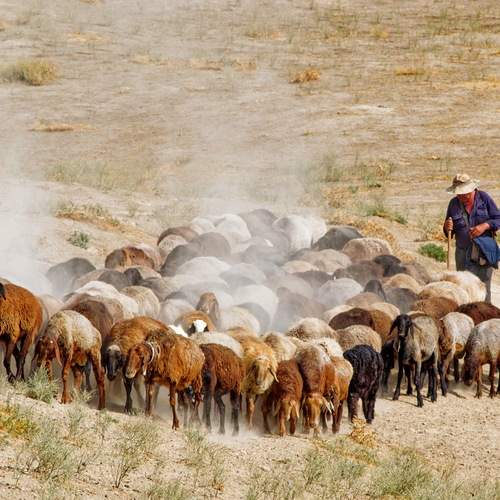 Photo #13761018