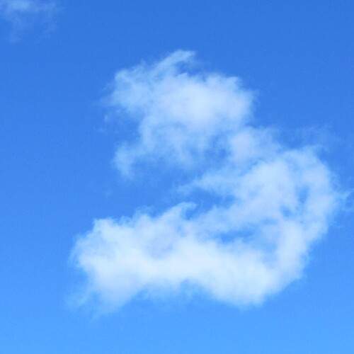 Photo #13761037