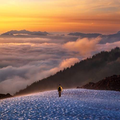 Photo #13761057