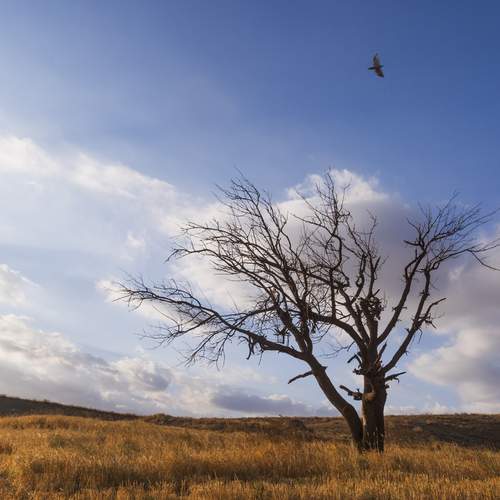 Photo #13761092