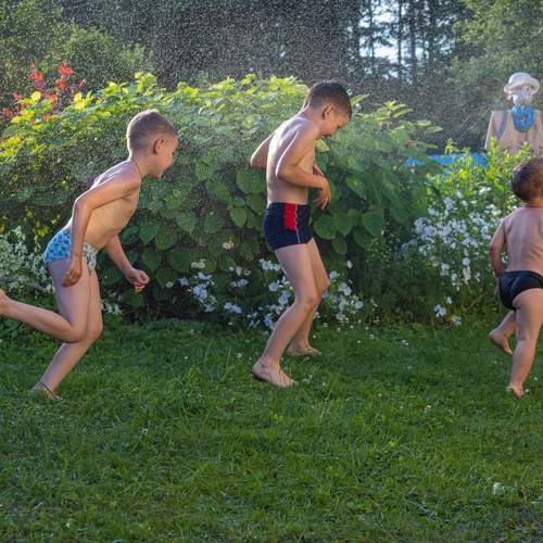 Photo #13761118