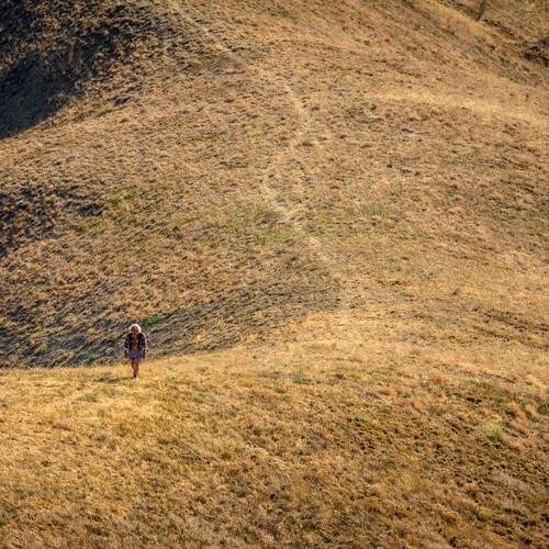 Photo #13761168