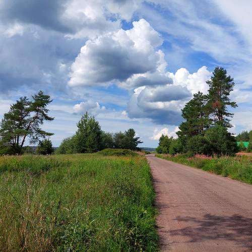 Photo #13761273