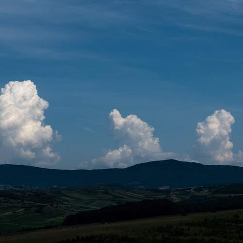 Photo #13761284