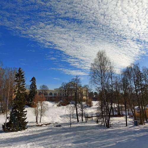 Photo #13761304