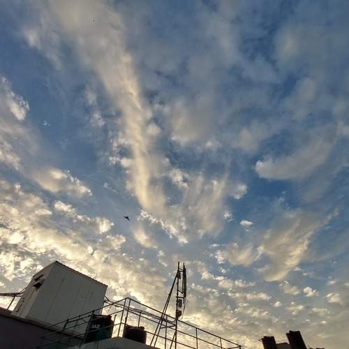 Photo #13761319