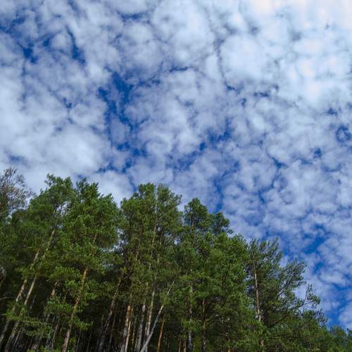 Photo #13761362