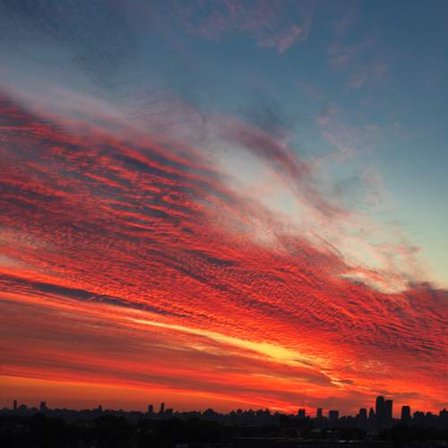 Photo #13761406
