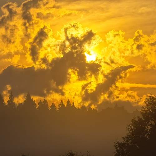 Photo #13761430