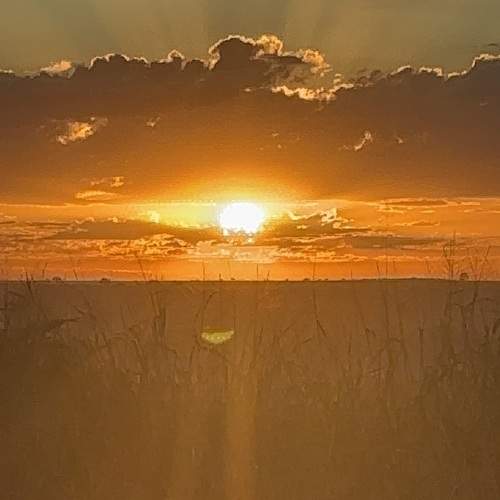 Photo #13761437