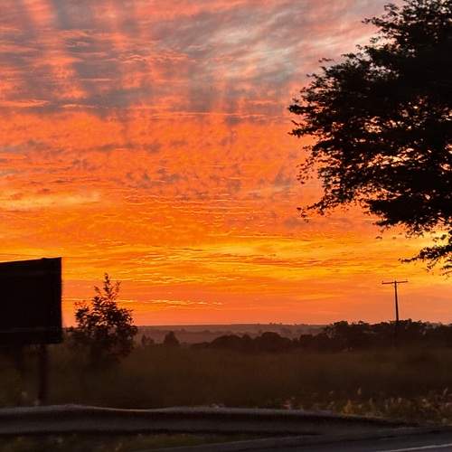 Photo #13761449
