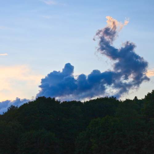 Photo #13761469