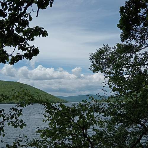 Photo #13761536