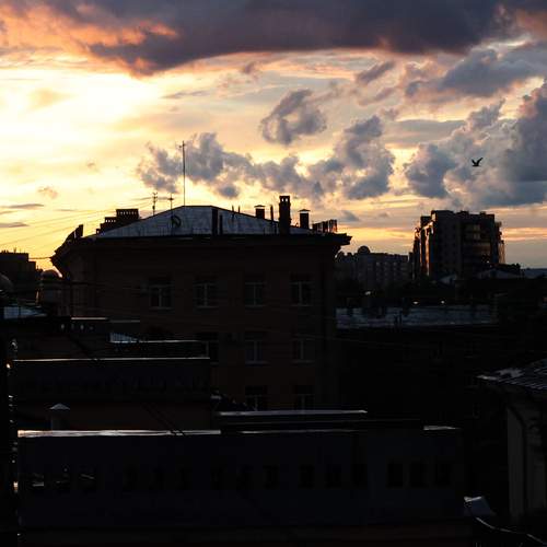 Photo #13761554