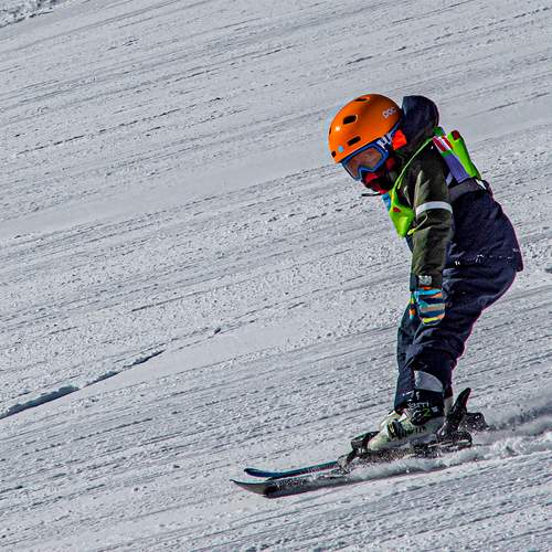 Photo #13761589