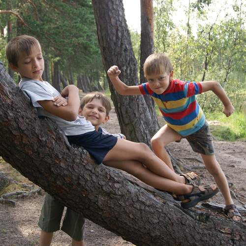 Photo #13761593