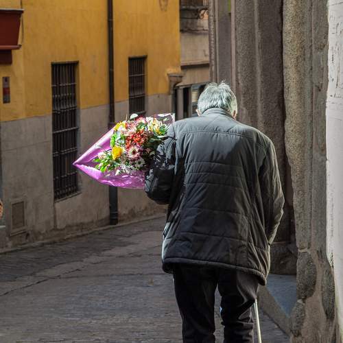 Photo #13761620