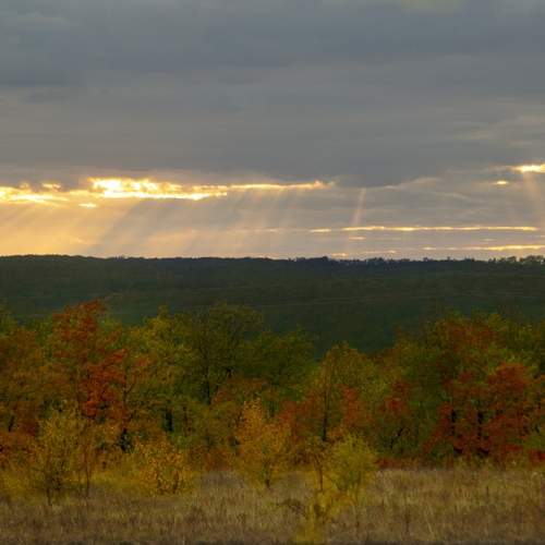 Photo #13761661