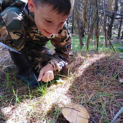 Photo #13761682