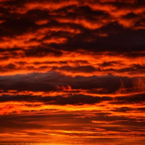 Photo #13761718