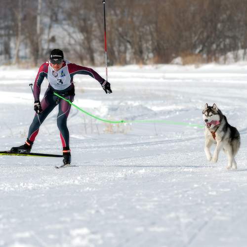 Photo #13761808