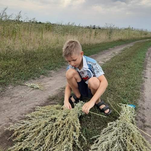 Помощник.
