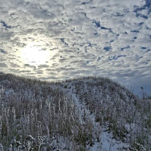 Photo #13761916
