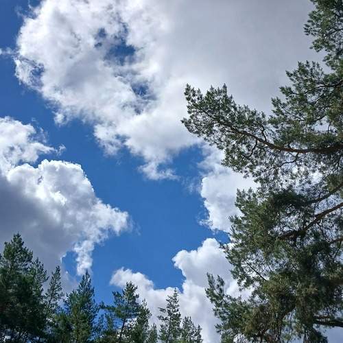 Photo #13761925