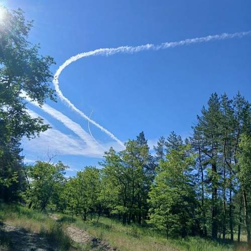 Photo #13761927