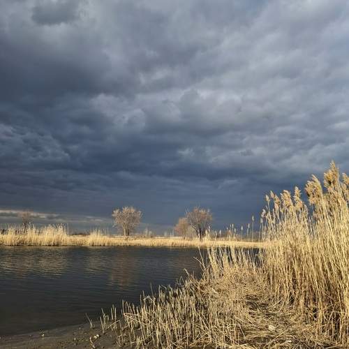Photo #13761932