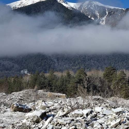 Photo #13761934