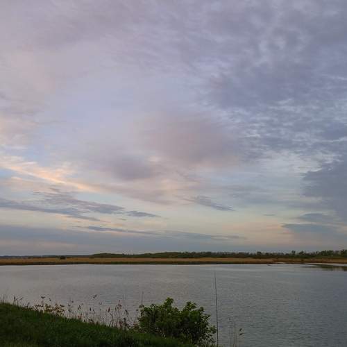 Photo #13761953
