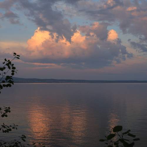 Photo #13761984