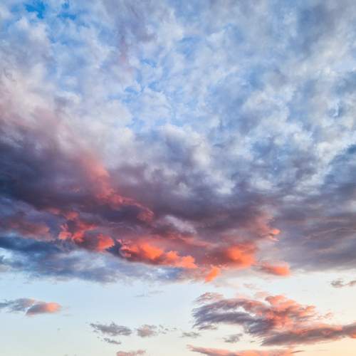 Photo #13762006