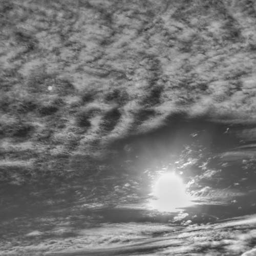 Photo #13762007
